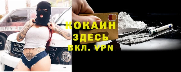 apvp Алзамай
