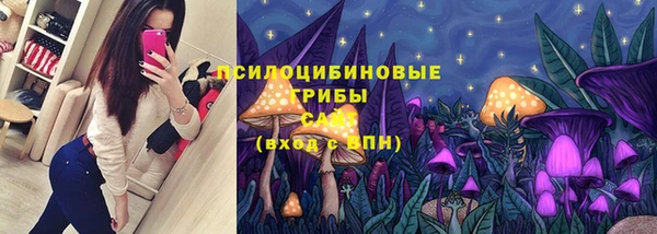 apvp Алзамай