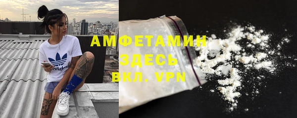шишки Абаза