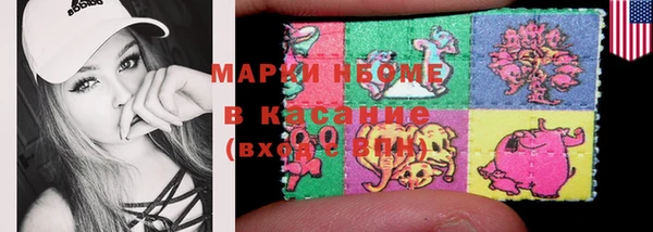 apvp Алзамай