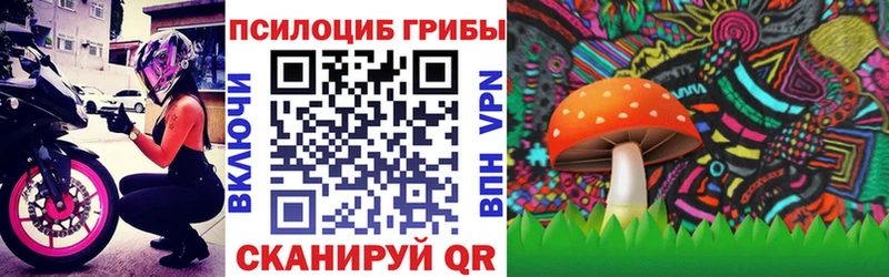 что такое   Починок  Галлюциногенные грибы GOLDEN TEACHER 